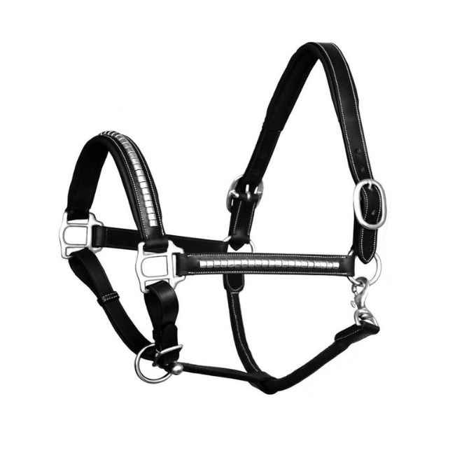 Horse Bridle